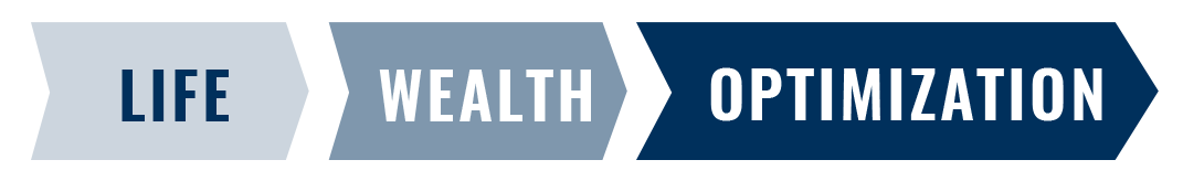 Life Wealth Optimization